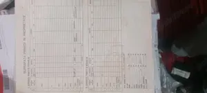 Vând 50 arii padure zona nasturelu Teleorman pe malul Dunării 