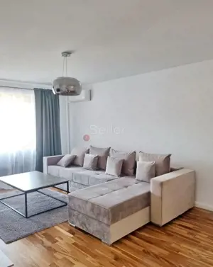 Suprafata Generoasa, Prima Inchiriere - imagine 8