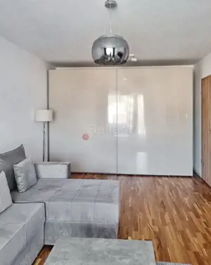 Suprafata Generoasa, Prima Inchiriere - imagine 6