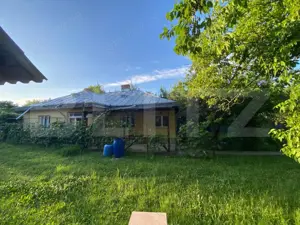 Casă solidă de vânzare 120mp, 1840mp teren la strada principala Paun