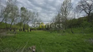 De vânzare teren superb în Ciurila – 500 mp de liniște, verdeață și potențial - imagine 5