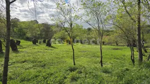 De vânzare teren superb în Ciurila – 500 mp de liniște, verdeață și potențial