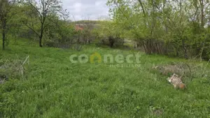 De vânzare teren superb în Ciurila – 500 mp de liniște, verdeață și potențial - imagine 7