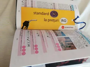 House of guides of romania - imagine 3