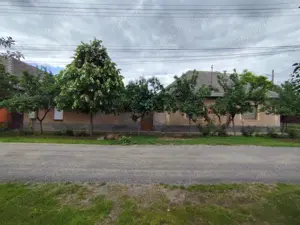 Casa de vanzare in Pecica