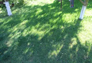 Vand teren ultracentral municipiul Suceava - imagine 2