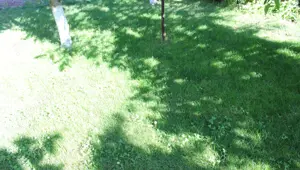 Vand teren ultracentral municipiul Suceava