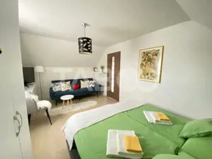 Comision 0% Pensiune 7 camere 3 stele in regim hotelier Sura Mare - imagine 14