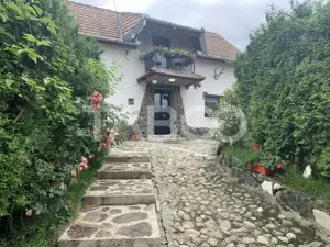 Comision 0% Pensiune 7 camere 3 stele in regim hotelier Sura Mare - imagine 19