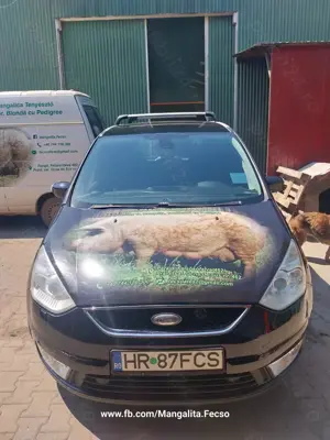 Ford Galaxy Ghia 2,2 L, 175 Cp, 2008 - imagine 5