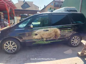 Ford Galaxy Ghia 2,2 L, 175 Cp, 2008 - imagine 2