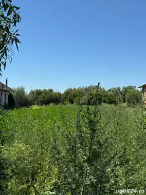 Vand teren 2000 mp Halchiu Brasov, 90000   minus 30% pana la 31.12.2025 - imagine 3 Vand teren 2000 mp Halchiu Brasov, 90000   minus 30% pana la 31.12.2025 - imagine 3