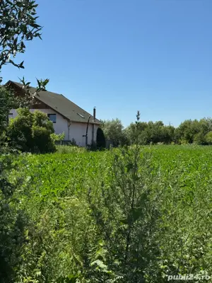 Vand teren 2000 mp Halchiu Brasov, 90000   minus 30% pana la 31.12.2025 - imagine 4 Vand teren 2000 mp Halchiu Brasov, 90000   minus 30% pana la 31.12.2025 - imagine 4