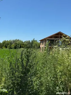 Vand teren 2000 mp Halchiu Brasov, 90000   minus 30% pana la 31.12.2025 - imagine 2 Vand teren 2000 mp Halchiu Brasov, 90000   minus 30% pana la 31.12.2025 - imagine 2