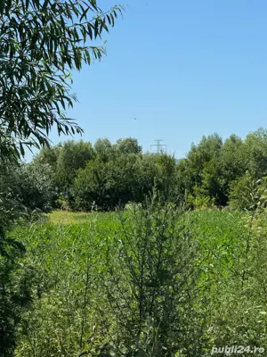 Vand teren 2000 mp Halchiu Brasov, 90000   minus 30% pana la 31.12.2025 - imagine 6 Vand teren 2000 mp Halchiu Brasov, 90000   minus 30% pana la 31.12.2025 - imagine 6