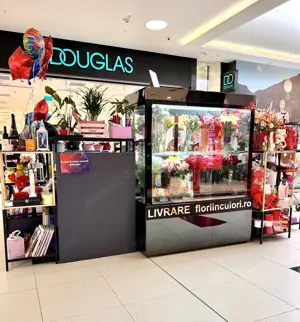 Vand Vitrina frigider flori 1,5 m lungime 7000 lei - imagine 2