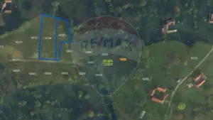 Comision 0% | Teren intravilan 3000 mp| Sohodol | Priveliște superbă - imagine 6