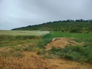 Teren extravilan 18200 mp Reghin