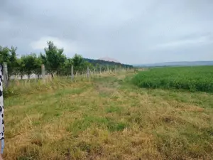 Teren extravilan 18200 mp Reghin - imagine 3