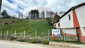 Teren generos, dar ieftin, in Nămăești - Argeș - imagine 5