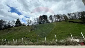 Teren generos, dar ieftin, in Nămăești - Argeș - imagine 3