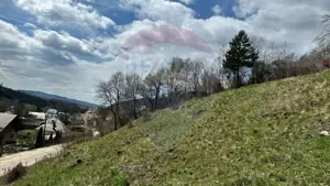 Teren generos, dar ieftin, in Nămăești - Argeș - imagine 8