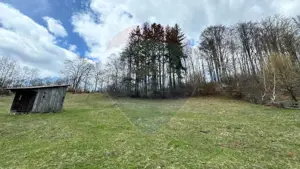 Teren generos, dar ieftin, in Nămăești - Argeș - imagine 7