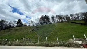 Teren generos, dar ieftin, in Nămăești - Argeș - imagine 6