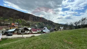 Teren generos, dar ieftin, in Nămăești - Argeș - imagine 9