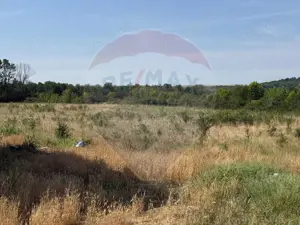 Teren Intravilan Craiova 2500 mp Strada Popoveni - imagine 3