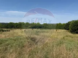 Teren Intravilan Craiova 2500 mp Strada Popoveni - imagine 2