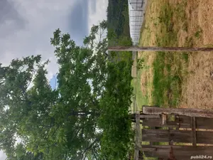 casa vanzare Topliceni, judet Buzau - imagine 9