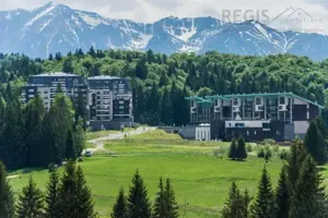 Apartament Luxos 3 camere, Silver Mountain - imagine 20