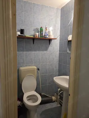 Apartament 3 camere - imagine 6