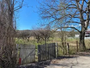 Teren vânzare Brănești, Dâmbovița