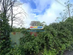 Vanzare teren intravilan Baicoi Prahova - imagine 4