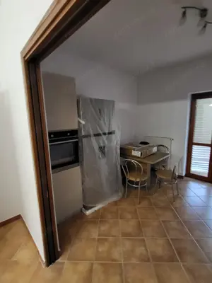 Inchiriez casa în Dumbravita  - imagine 11