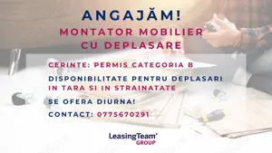 Montator mobilier în deplasare