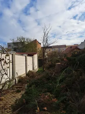 Casa de vanzare cu 3 camere , Str . Nicolae Golescu 168.000 euro neg. - imagine 12