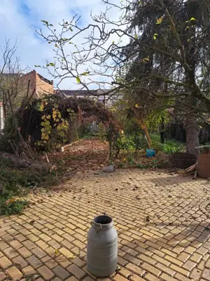 Casa de vanzare cu 3 camere , Str . Nicolae Golescu 168.000 euro neg. - imagine 19