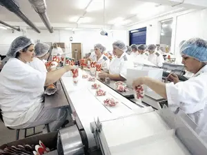 Muncitori necalificati la fabrici si depozite in Germania - imagine 2