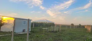 1300 mp Plataresi, jud Calarasi, la 15 minute de centura Bucuresti spre Cernica