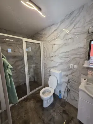 Inchiriez casa P+E Deva  - imagine 5