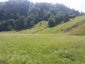 Teren vanzare ideal oentru construit - imagine 5