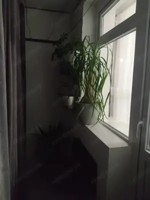 Ofer spre inchiriere un Apartament cu 2 camere - imagine 2