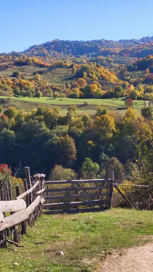 Campulung, terenuri Grui, Flamanda, Valea Romanestilor si Schitu Golesti-proprietar - imagine 6