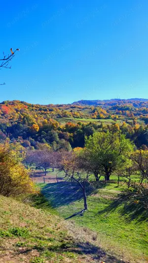 Campulung, terenuri Grui, Flamanda, Valea Romanestilor si Schitu Golesti-proprietar - imagine 10