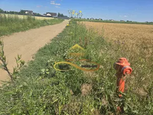 Teren pentru investitori la Calea Romanului 9000 mp - imagine 2