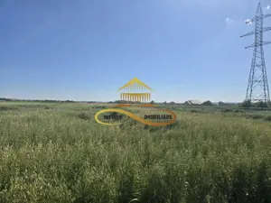 Teren pentru investitori la Calea Romanului 9000 mp - imagine 5