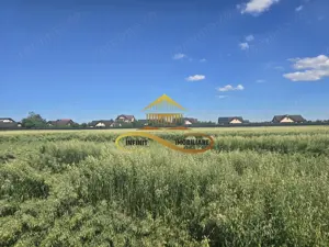 Teren pentru investitori la Calea Romanului 9000 mp - imagine 9